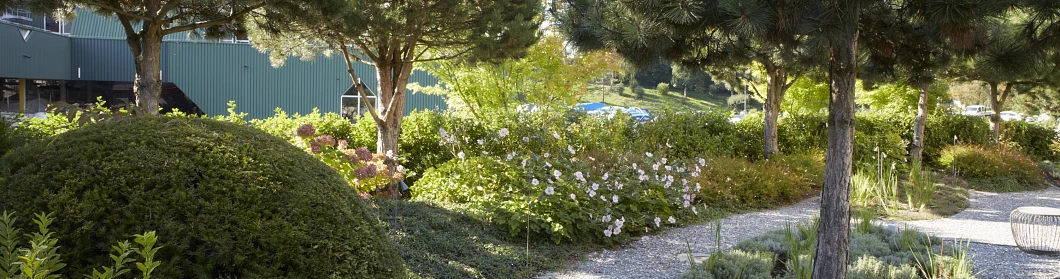 Gartenbau_Gartenunterhalt_Landschaftsbau__Hauser_Gaerten_Parks und Anlagen (19) Gartenbau_Gartenunterhalt_Landschaftsbau__Hauser_Gaerten_Parks und Anlagen (19)